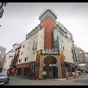 Hotel Marigold